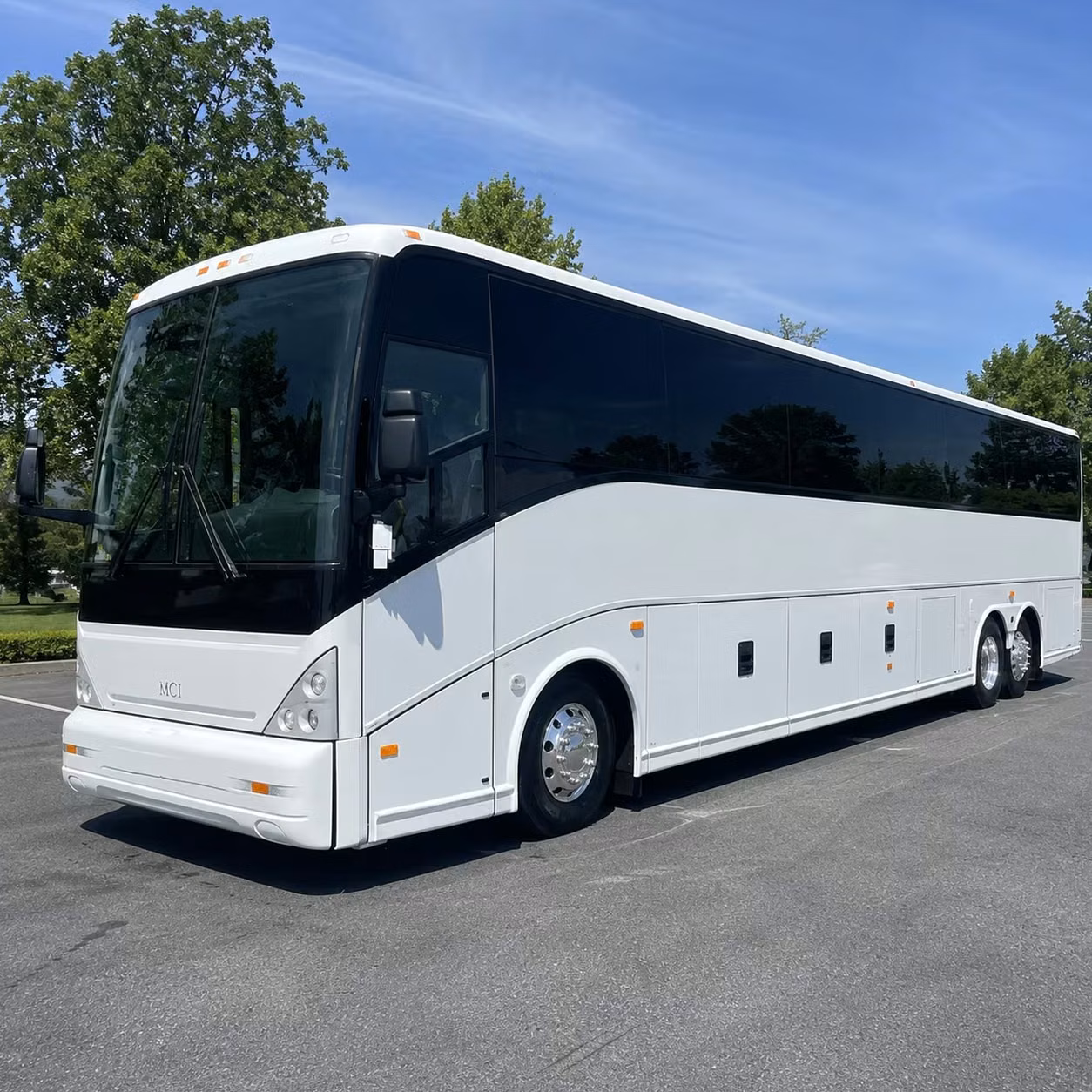 bus rental options for vista trips