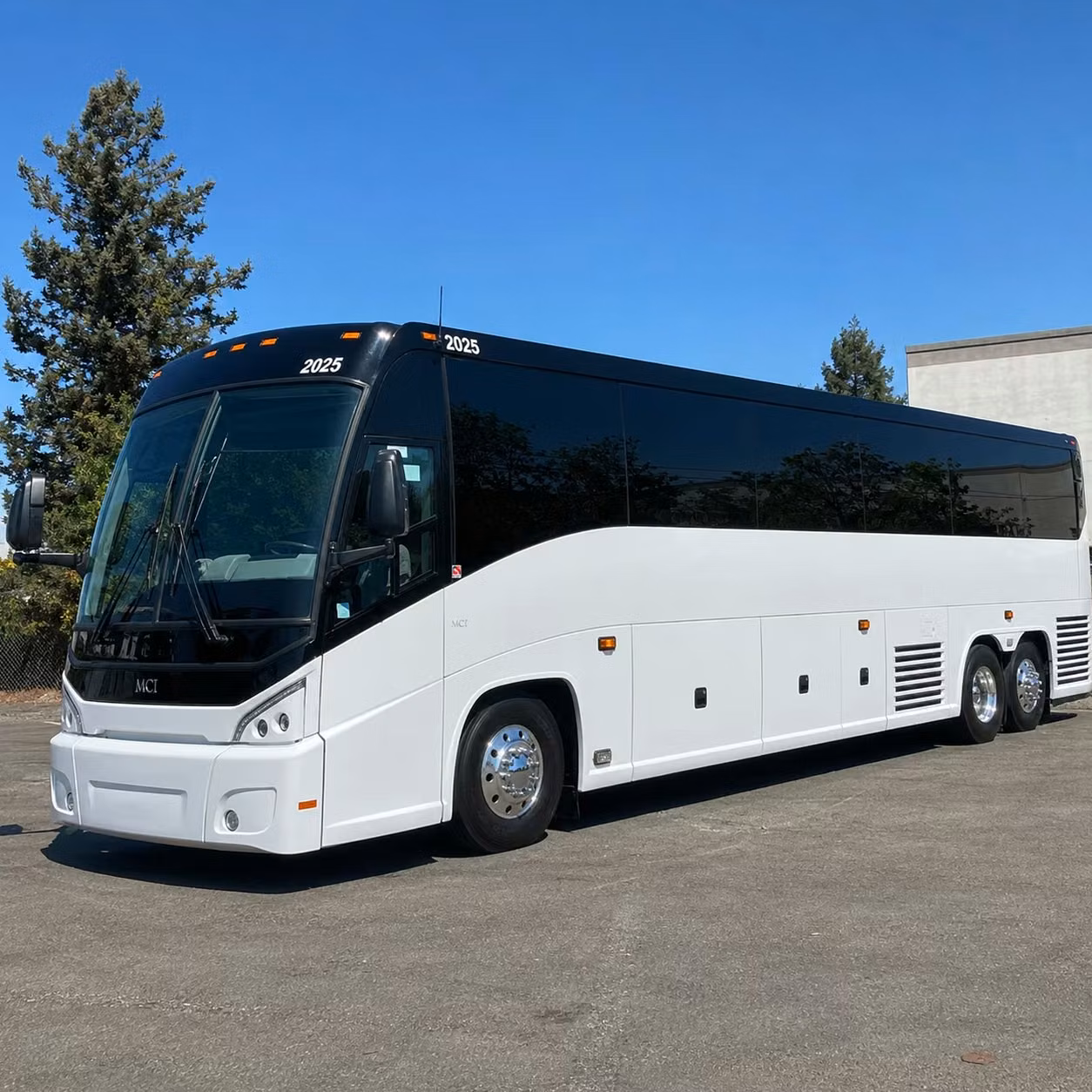 compare long distance transportation options in vista and beyond