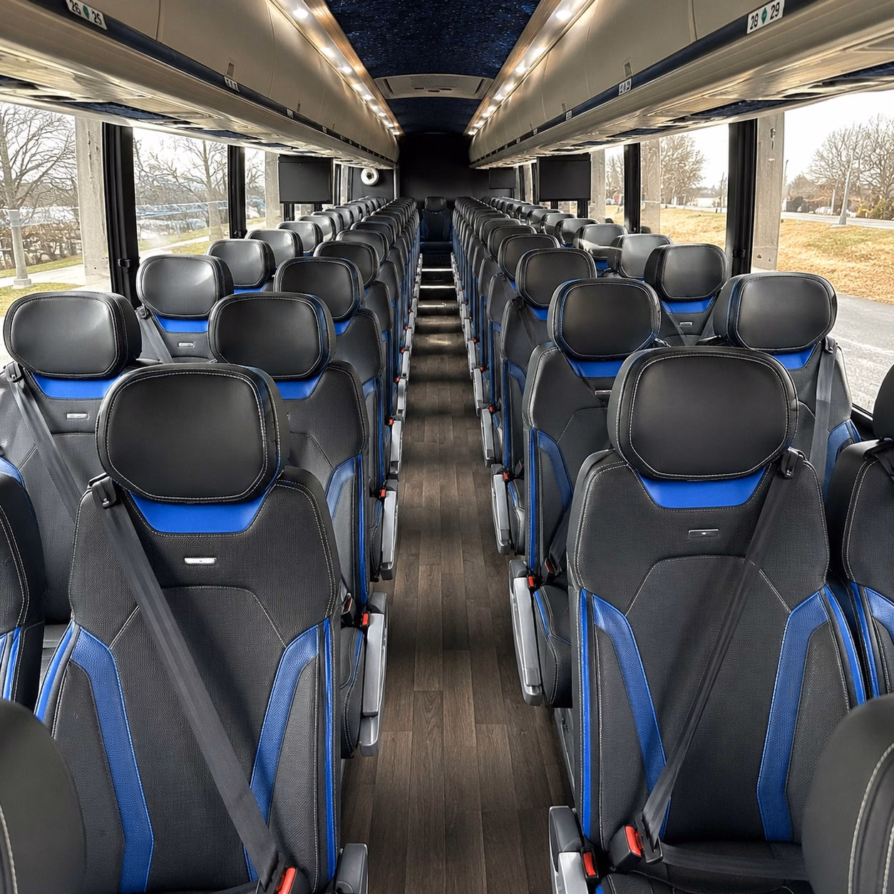 moonlight amphitheatre