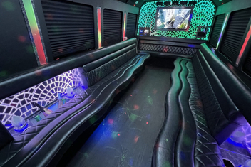 Vista Limo Bus Interior