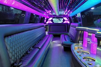 Vista Limo Interior